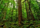 胎儿发育迟缓，原因、影响及应对策略