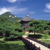 孩子脑发育缓慢，应对策略与方法